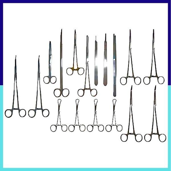 Large Animal Deep Surgery Set