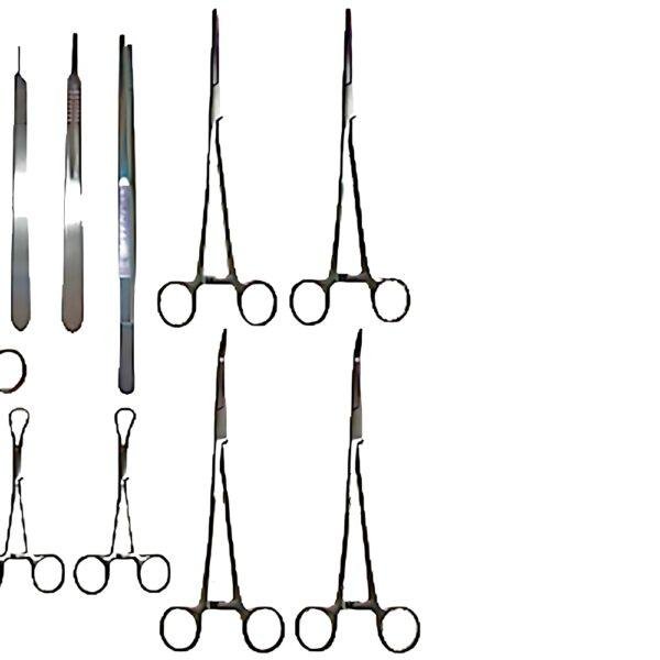 Large Animal Deep Surgery Set