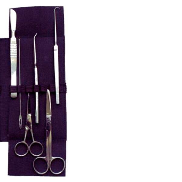 Surgical Dissecting Set