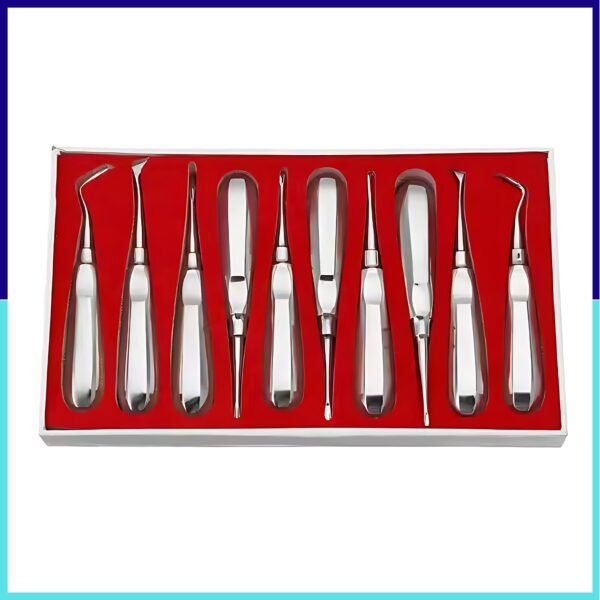 10Pcs Dental Root Elevators
