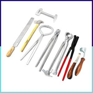 Veterinary Tool Horse Farrier Tool Kit